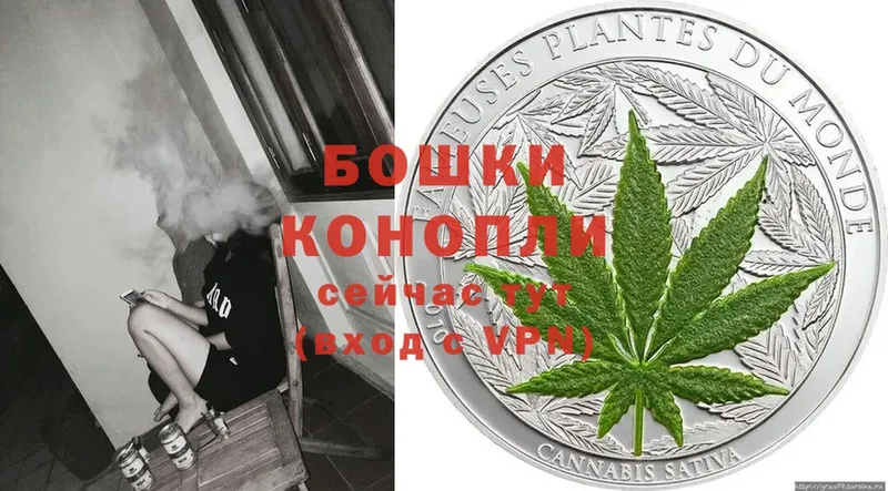 купить наркотик  Чекалин  блэк спрут зеркало  МАРИХУАНА SATIVA & INDICA 